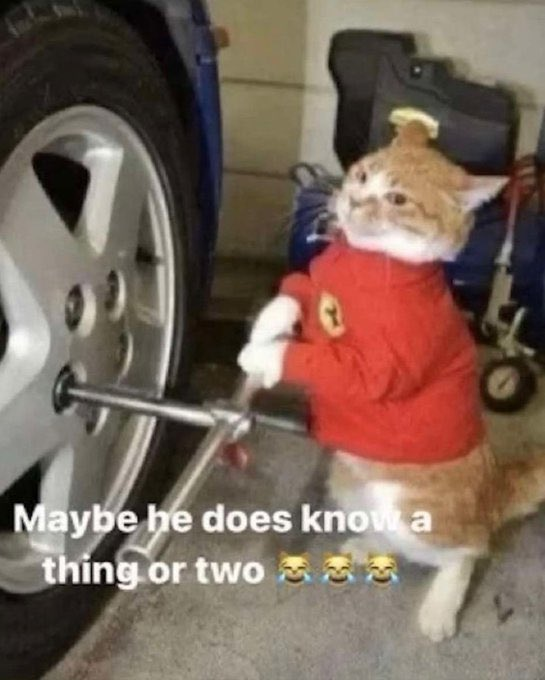 blunderline's tweet image. shoutout my wonderful lovely team 🥹 #notthatbad #couldabeenworse