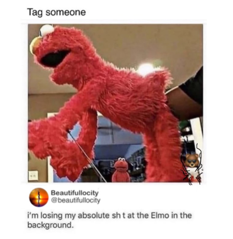 LAnDo NIFFIRG™️🇨🇦 tweet media