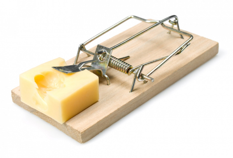 El socialismo es como una trampa para ratones. Funciona porque el ratón no entiende por qué el queso es gratis.