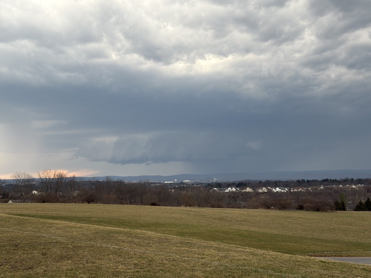 Sam Brandt tweet media