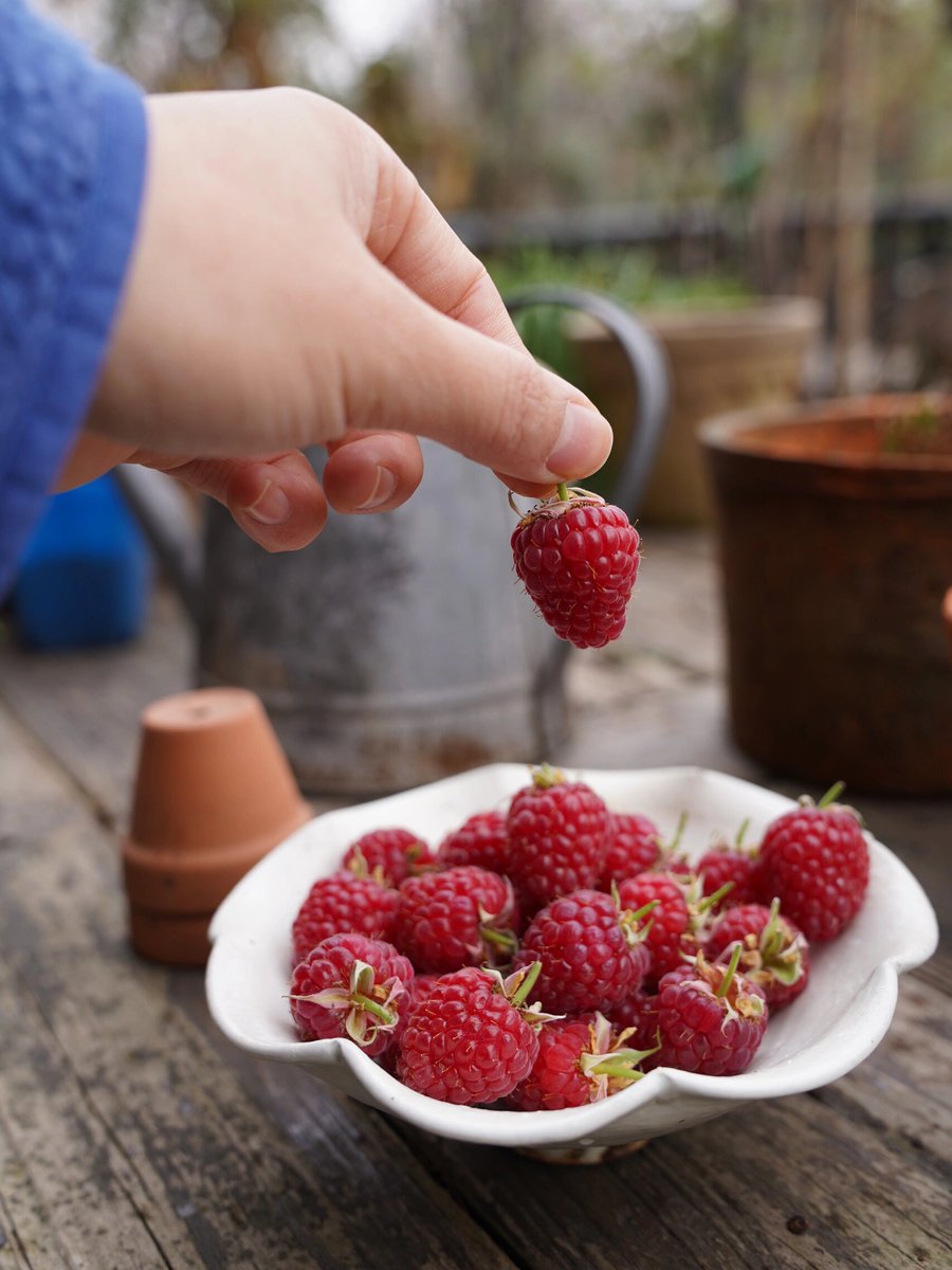 jacobwillinton tweet media