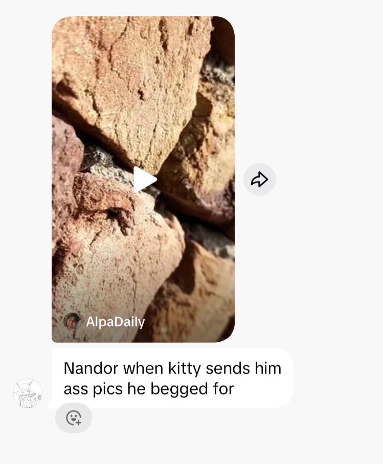 small and burrito bowl tweet media