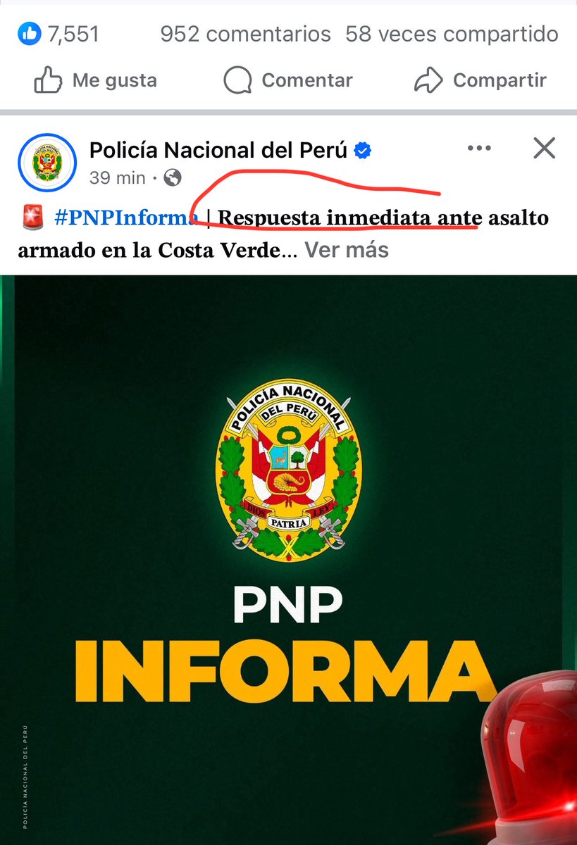 Levi Rey tweet media