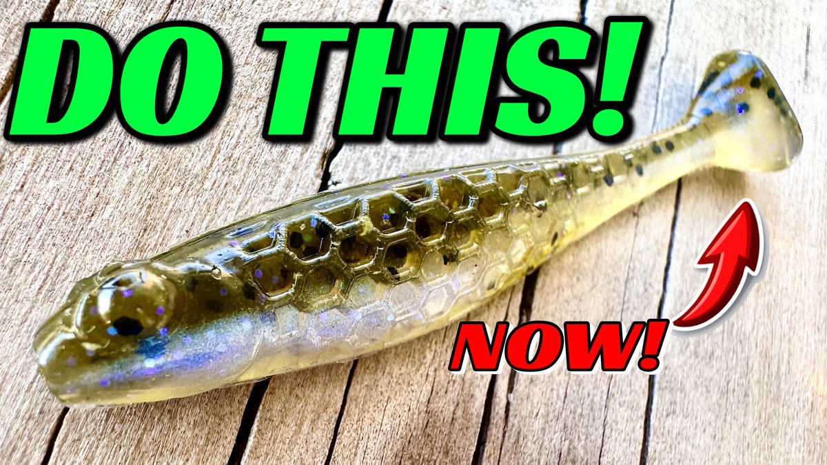 BassGeekFishing's tweet image. There Are Times In The Spring This Is The ONLY Thing that Works!
bit.ly/4lL76XL
#springfishing #largemouth #smallmouth #bassfishing #swimbait #bassgeek @NetBaitLures