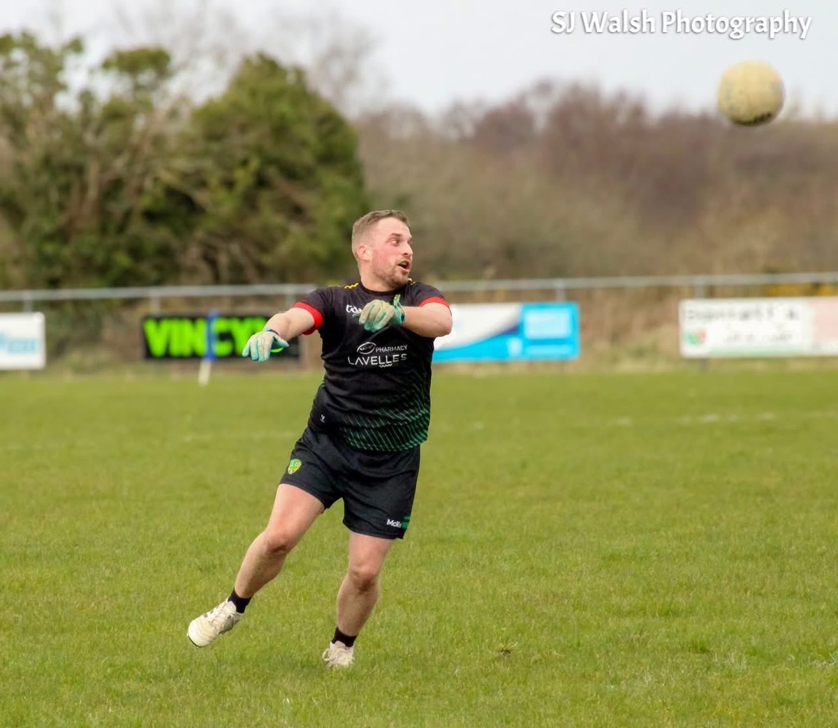 SJ Walsh Photography tweet media