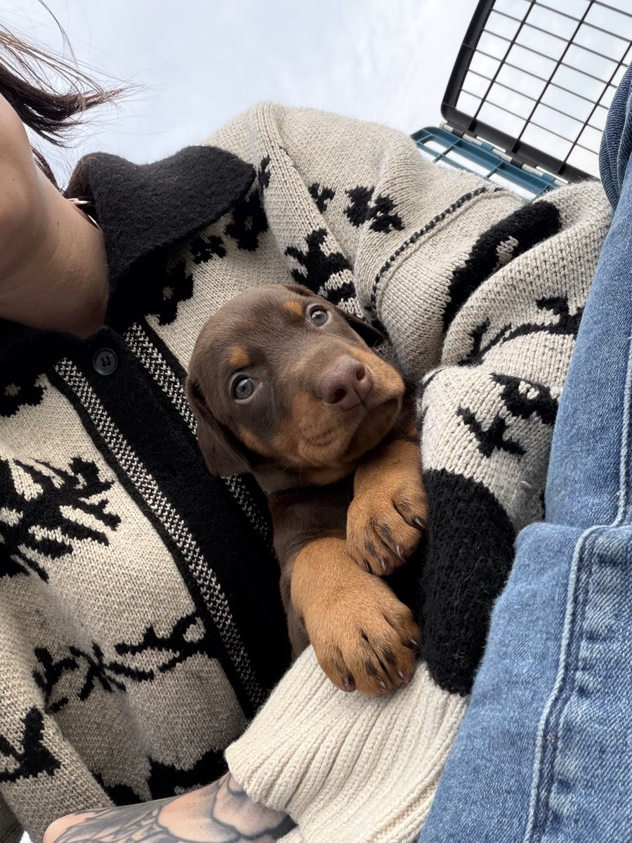 Mistress Salem tweet media