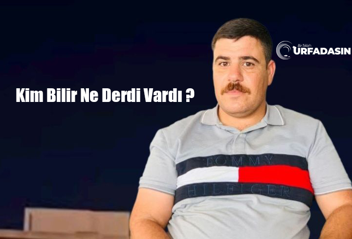 Urfadasın tweet media