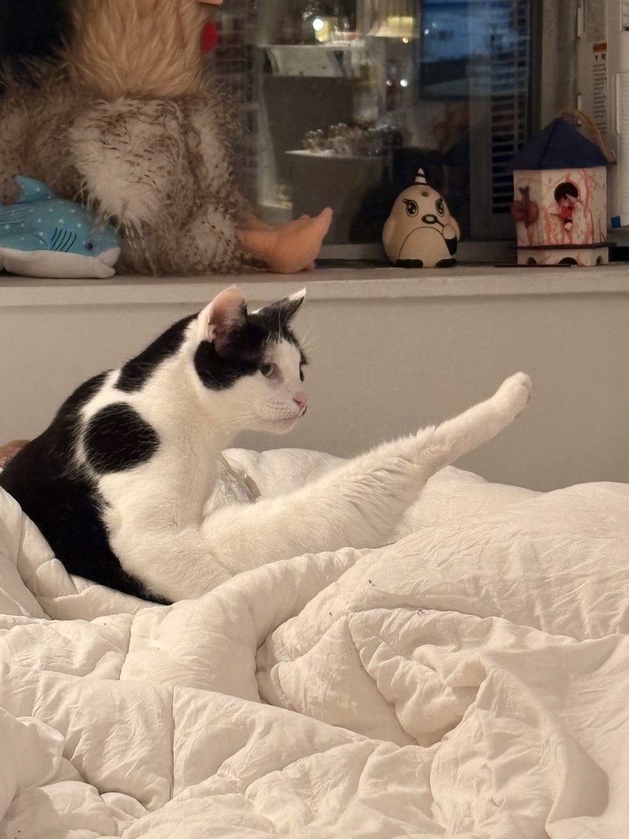 hercules 🫧🍭🫟🪱 tweet media