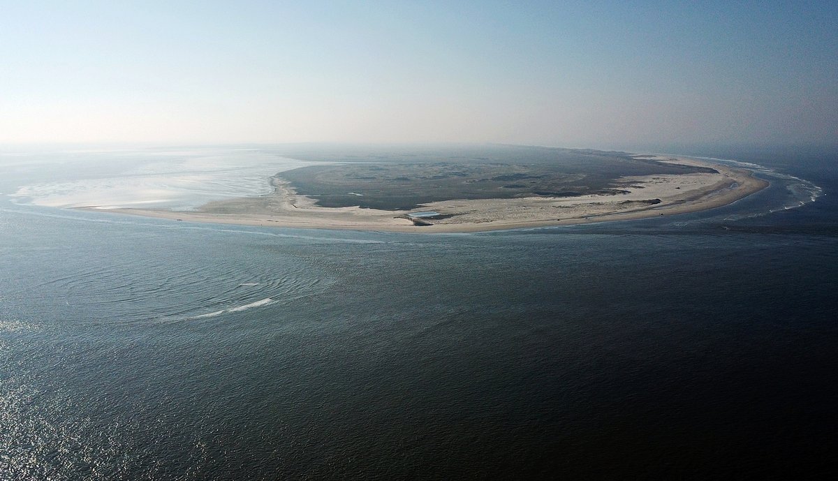 Gerrit Bart Volgers tweet media