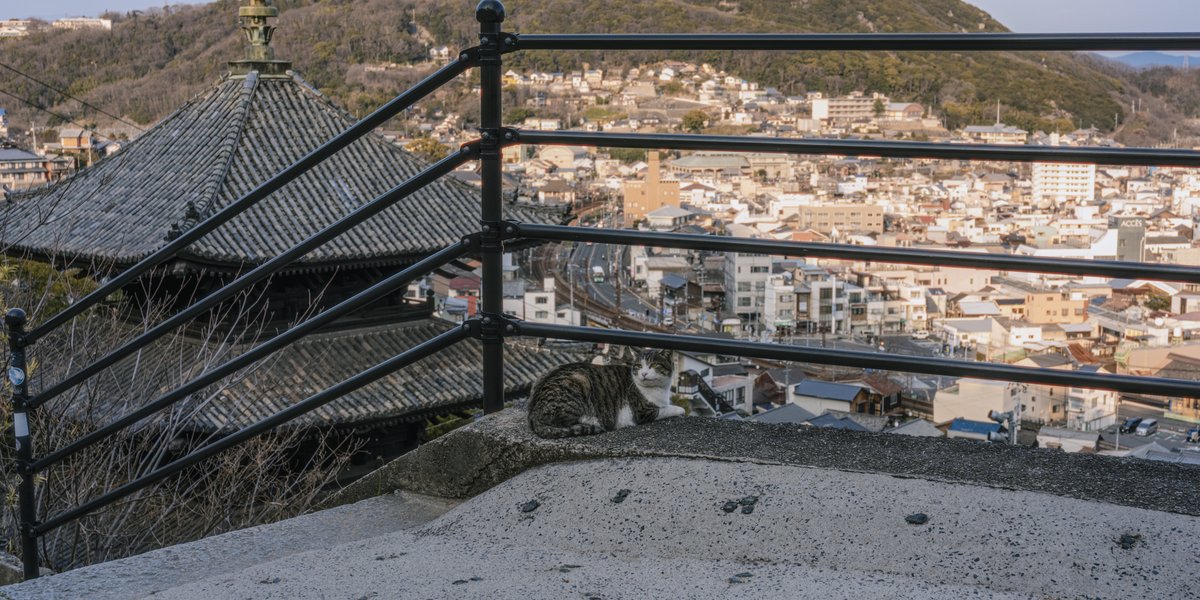 J / ジェイ tweet media