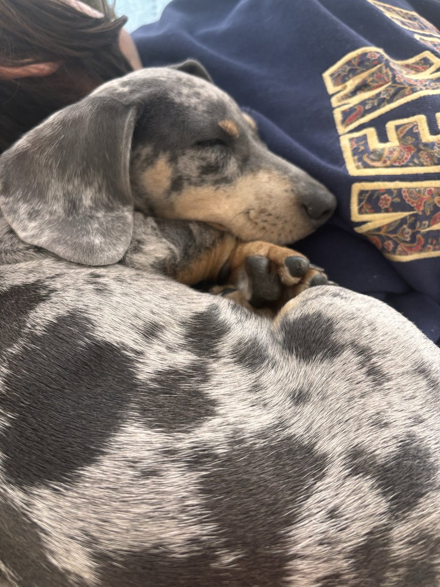 Caro 🫀 tweet media