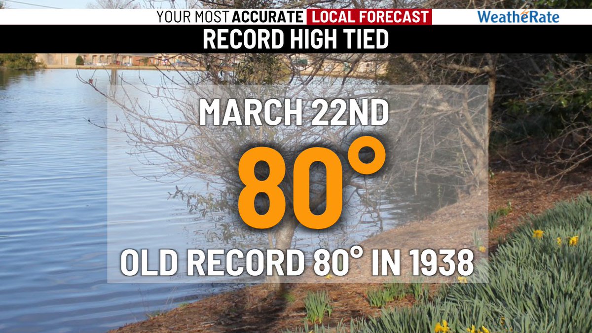 Summer Trolli tweet media