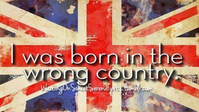 Puigde🐗🔰🏞️🖍️⚛️⛰️ tweet media