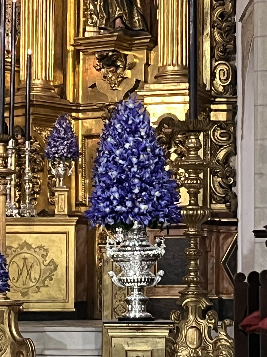 Grado Floristería tweet media