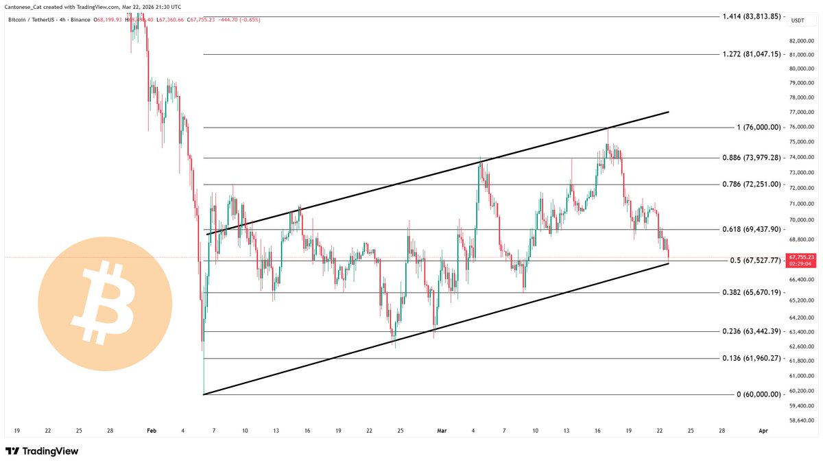 Cantonese Cat 🐱🐈 tweet media
