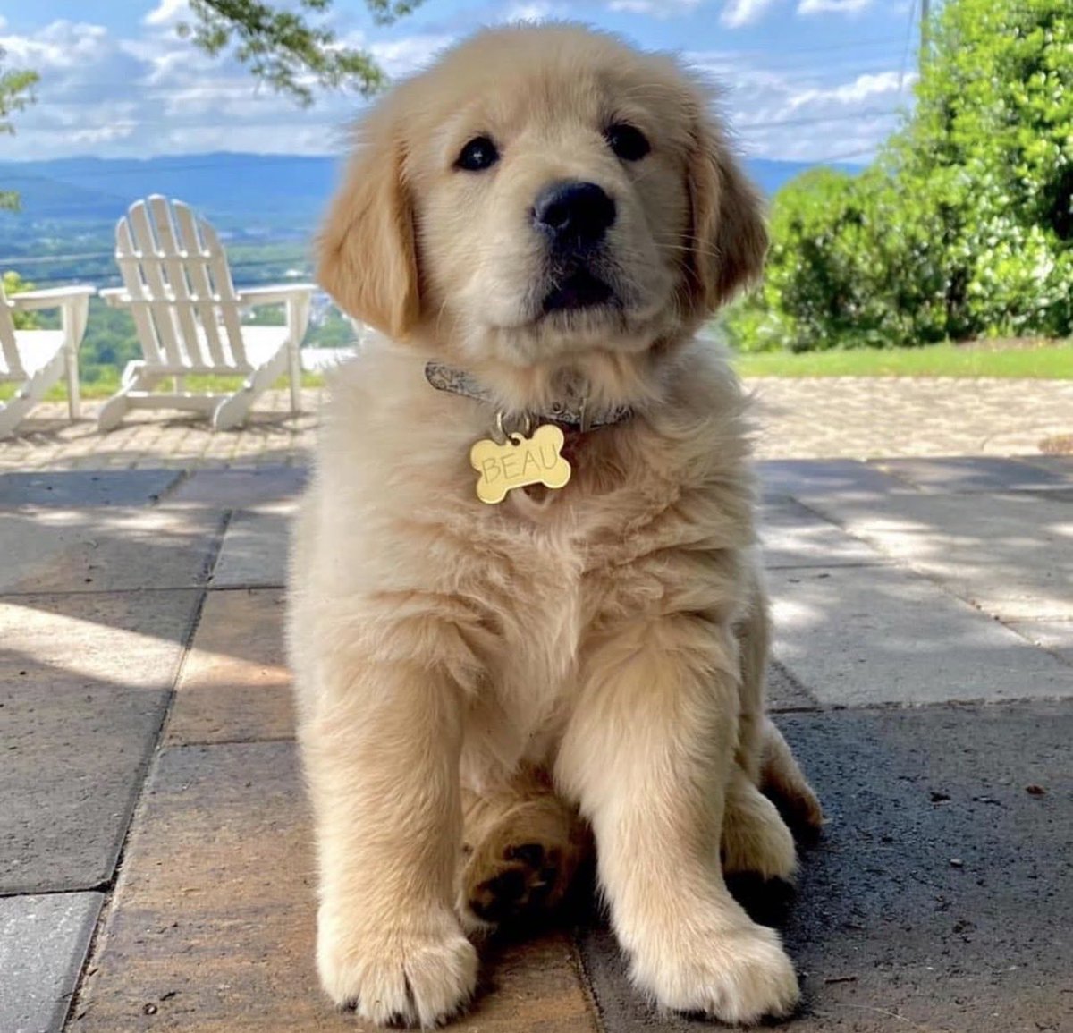 David Glenn WTVC tweet media