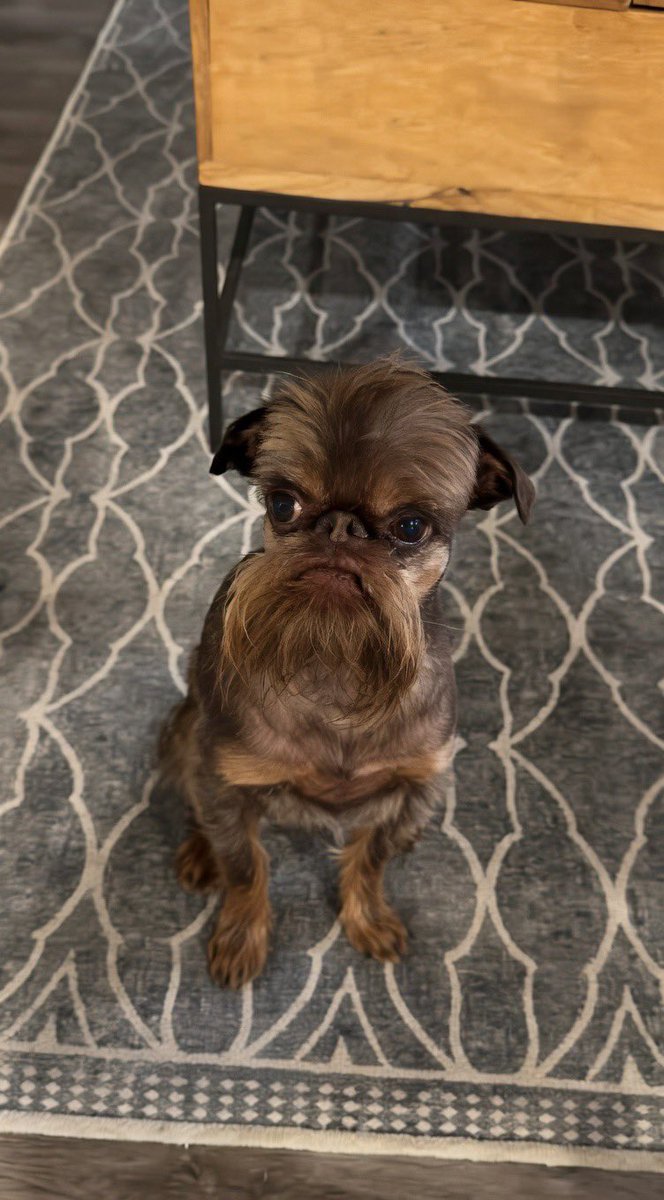 Isa Ricci tweet media