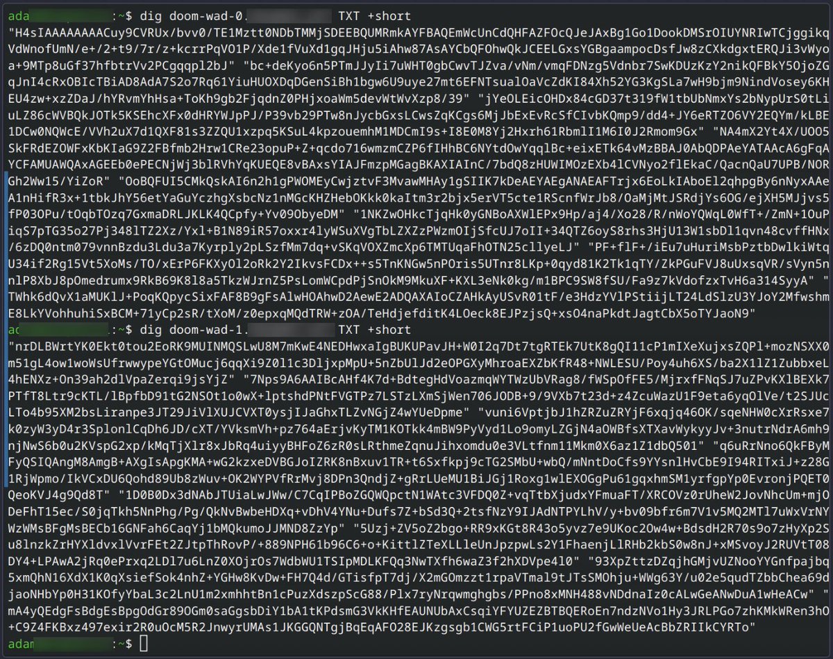 eleven red pandas tweet media