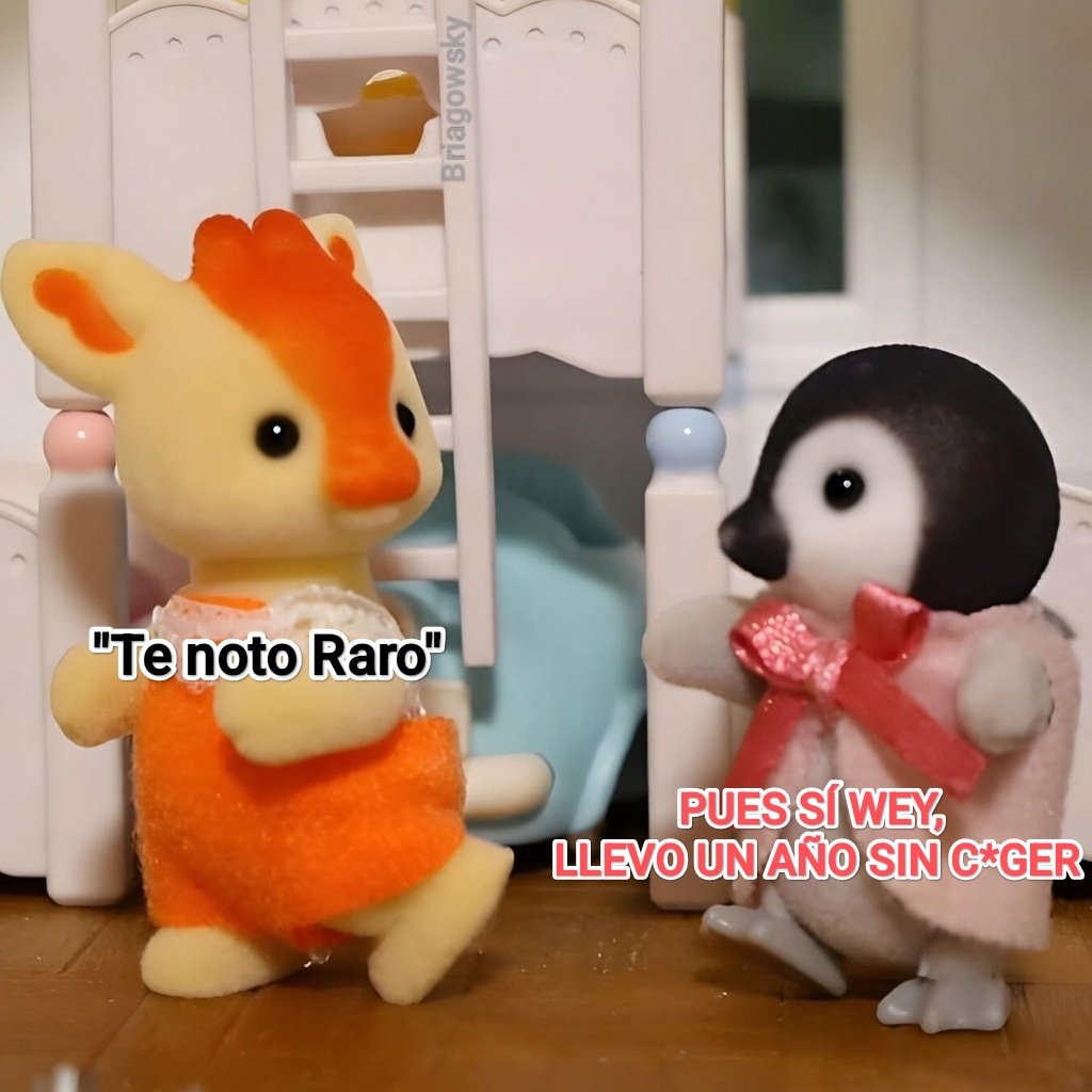 Cap Briagowsky tweet media