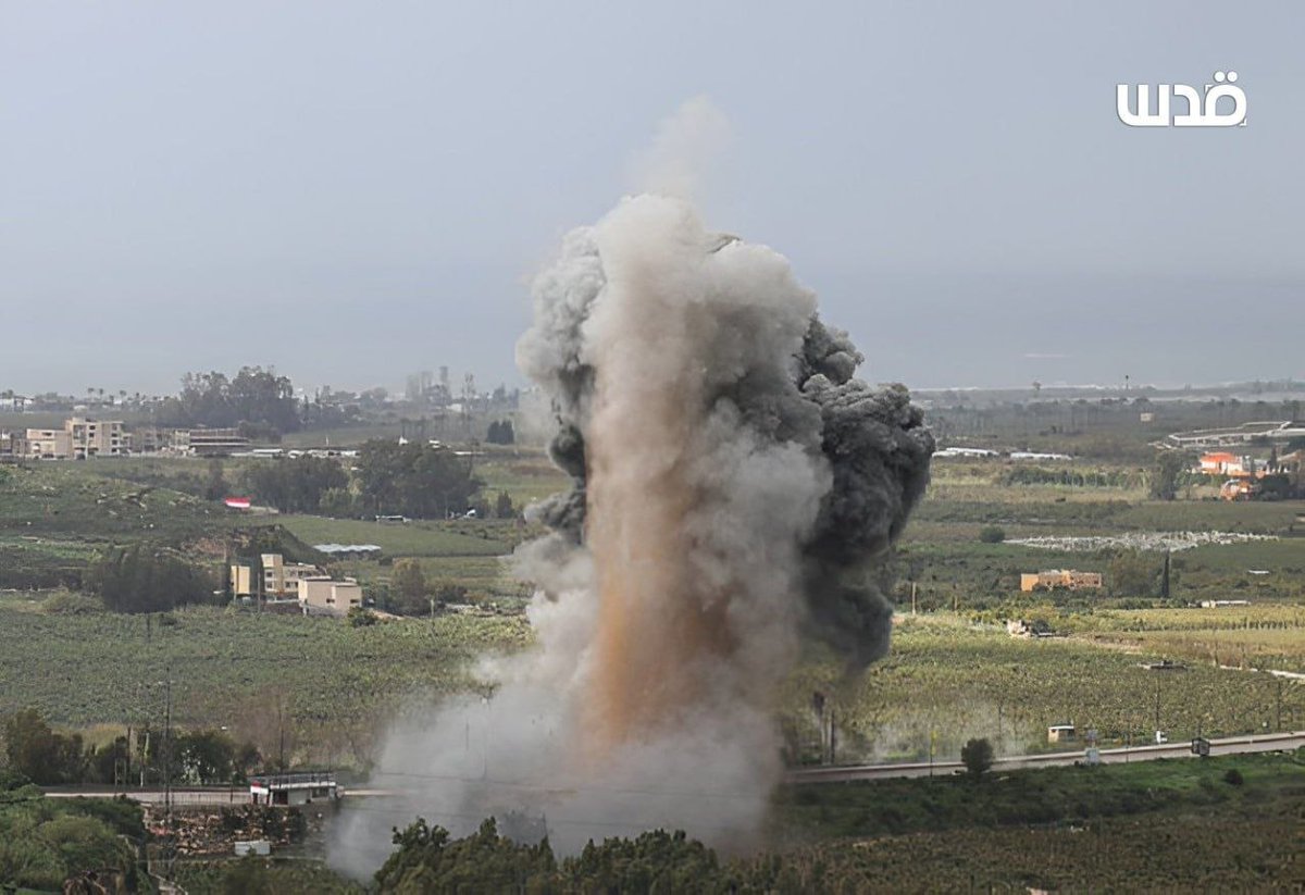 Brainless Partisans 🏴‍☠️☢️☣️🪆 tweet media