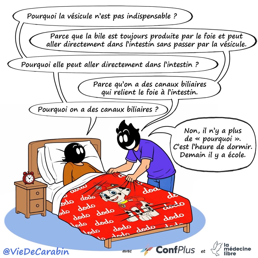 kaddour 🏳️ tweet media