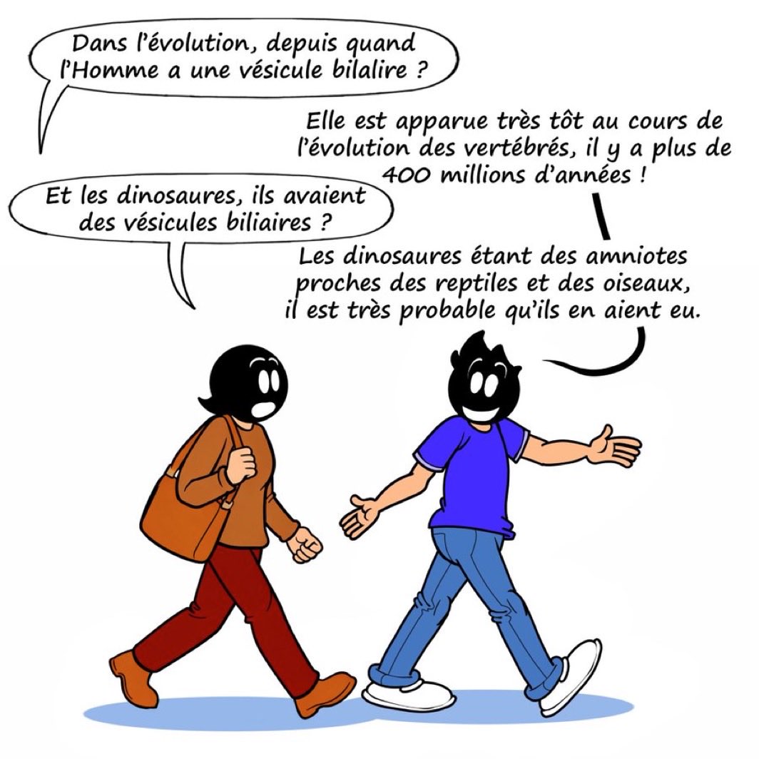 kaddour 🏳️ tweet media