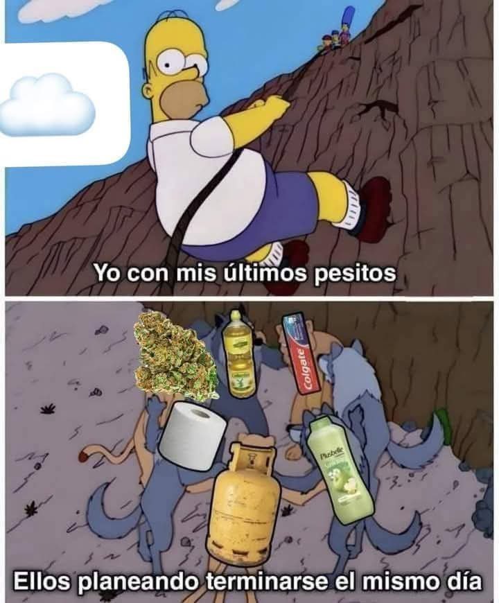 Lo Sinson tweet media