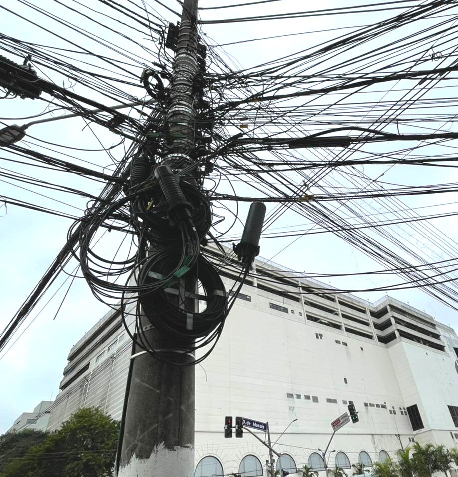 DARAB 🇧🇷 tweet media