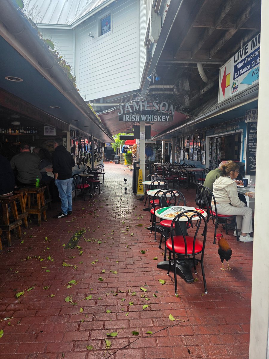 Key West - Party in Key West tweet media