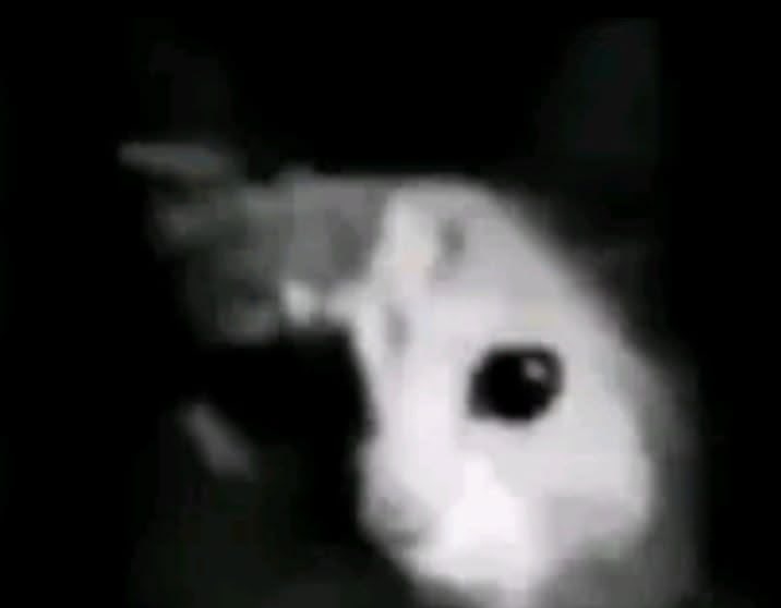 Denilson' tweet media