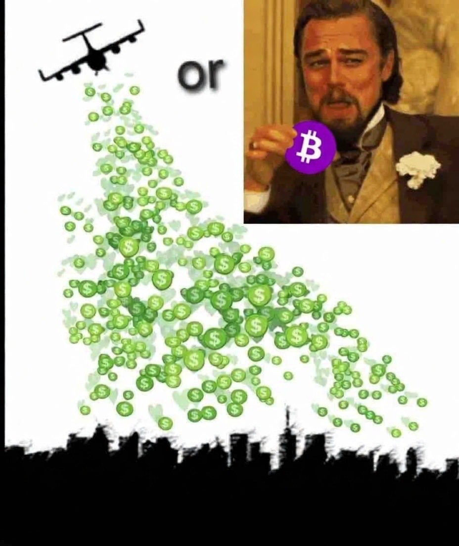 Purple Wizz 🟣💹🧲 tweet media