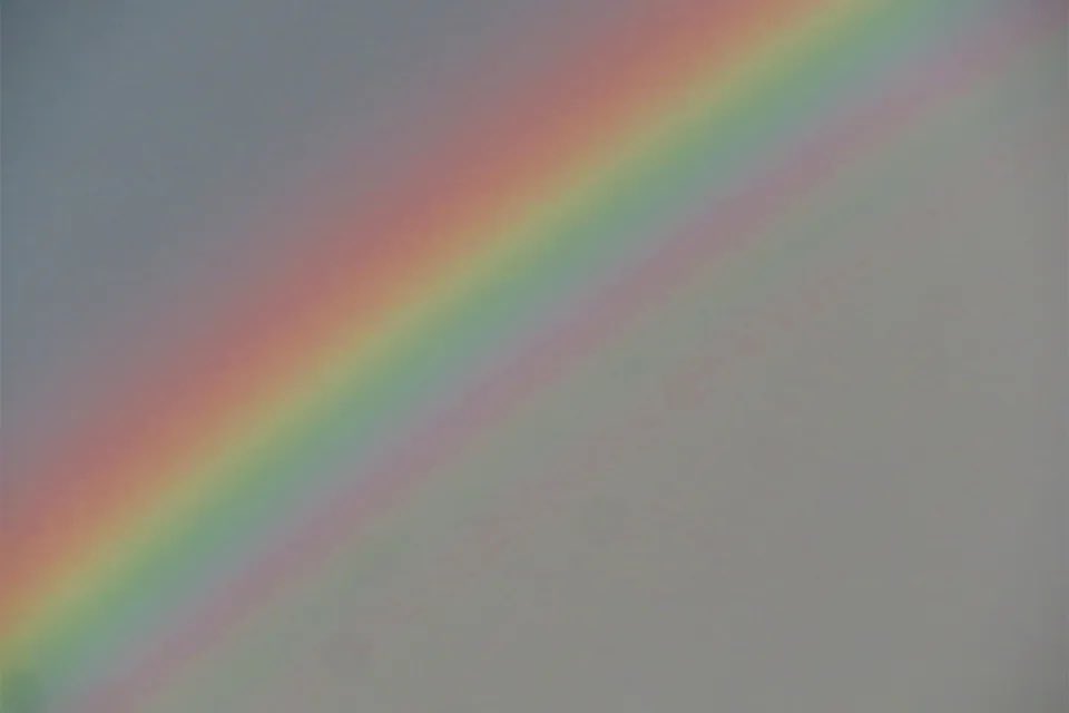 荒木健太郎 tweet media