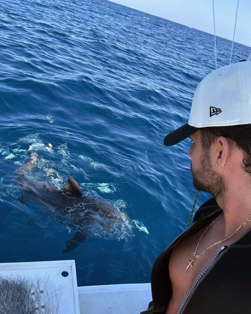 Clovis Nienow tweet media