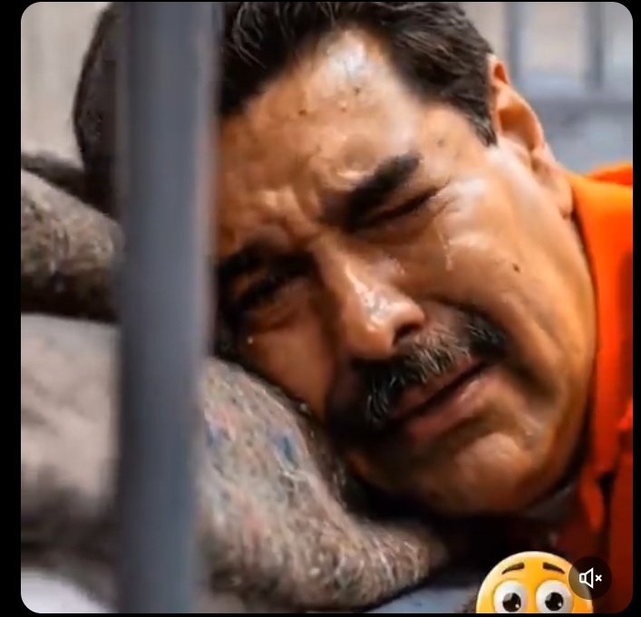 Marcelo Francisco🌐 tweet media