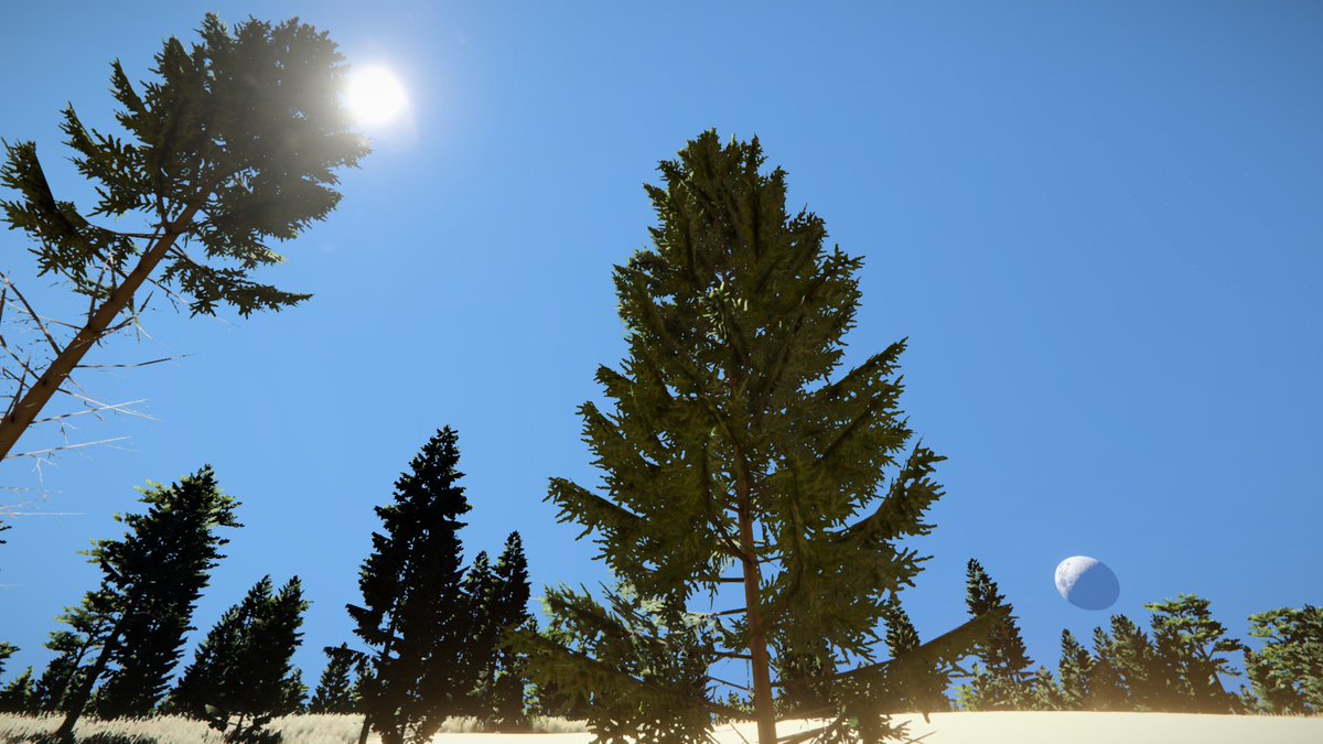 0x164C9DFC's tweet photo. #SpaceEngineers #RealOrbits #RealSolarSystem #RealStars https://t.co/UPYdQ0P02c