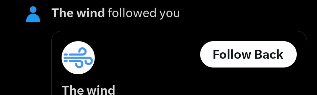 MS4 Jane Doe tweet media