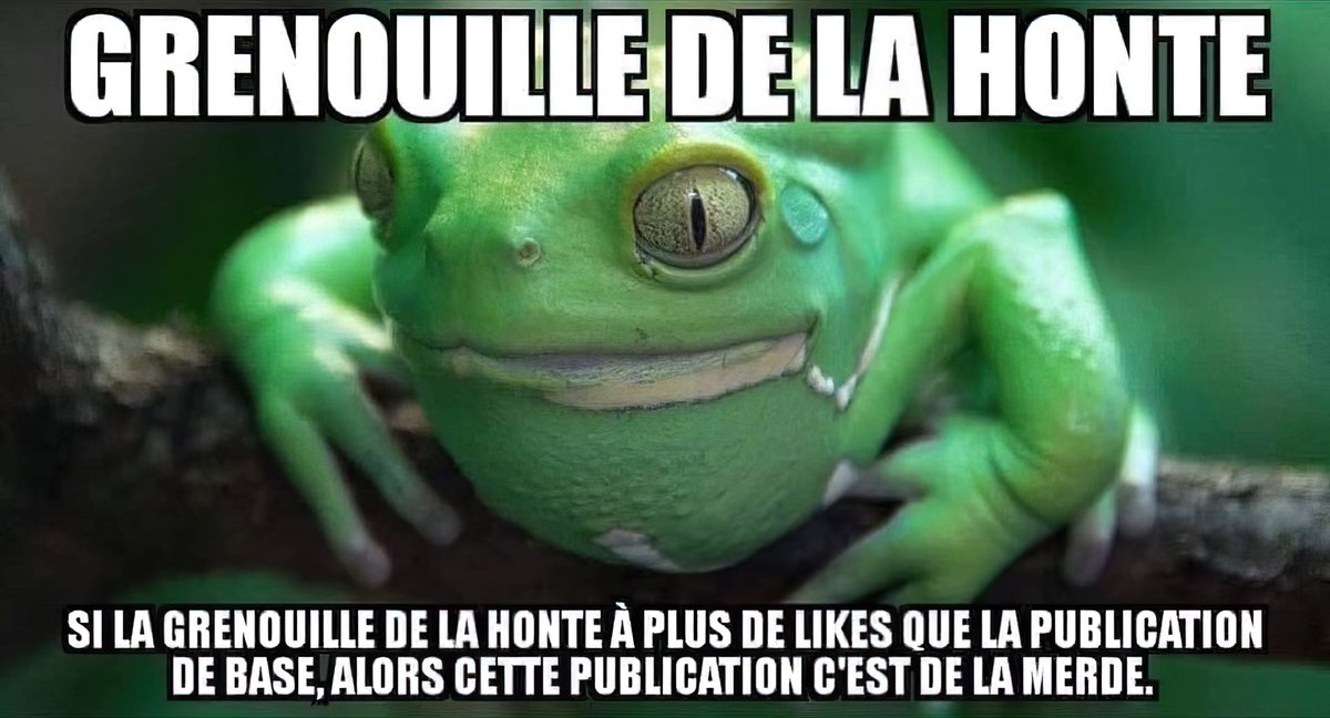 Ben D. Naoned 🔰🇫🇷🔰 tweet media