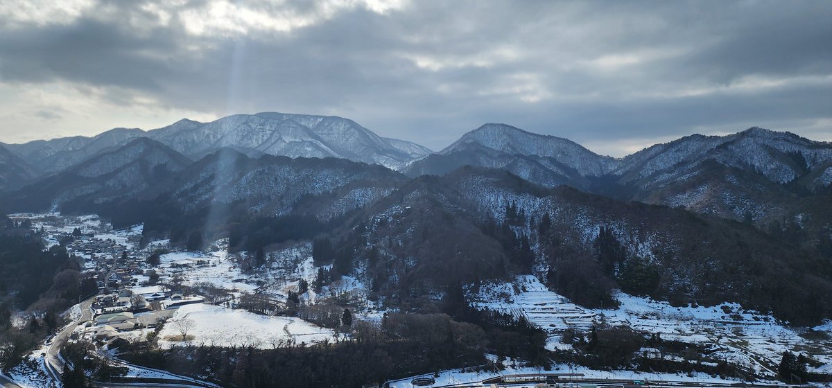 Francesca Sparrowtree tweet media