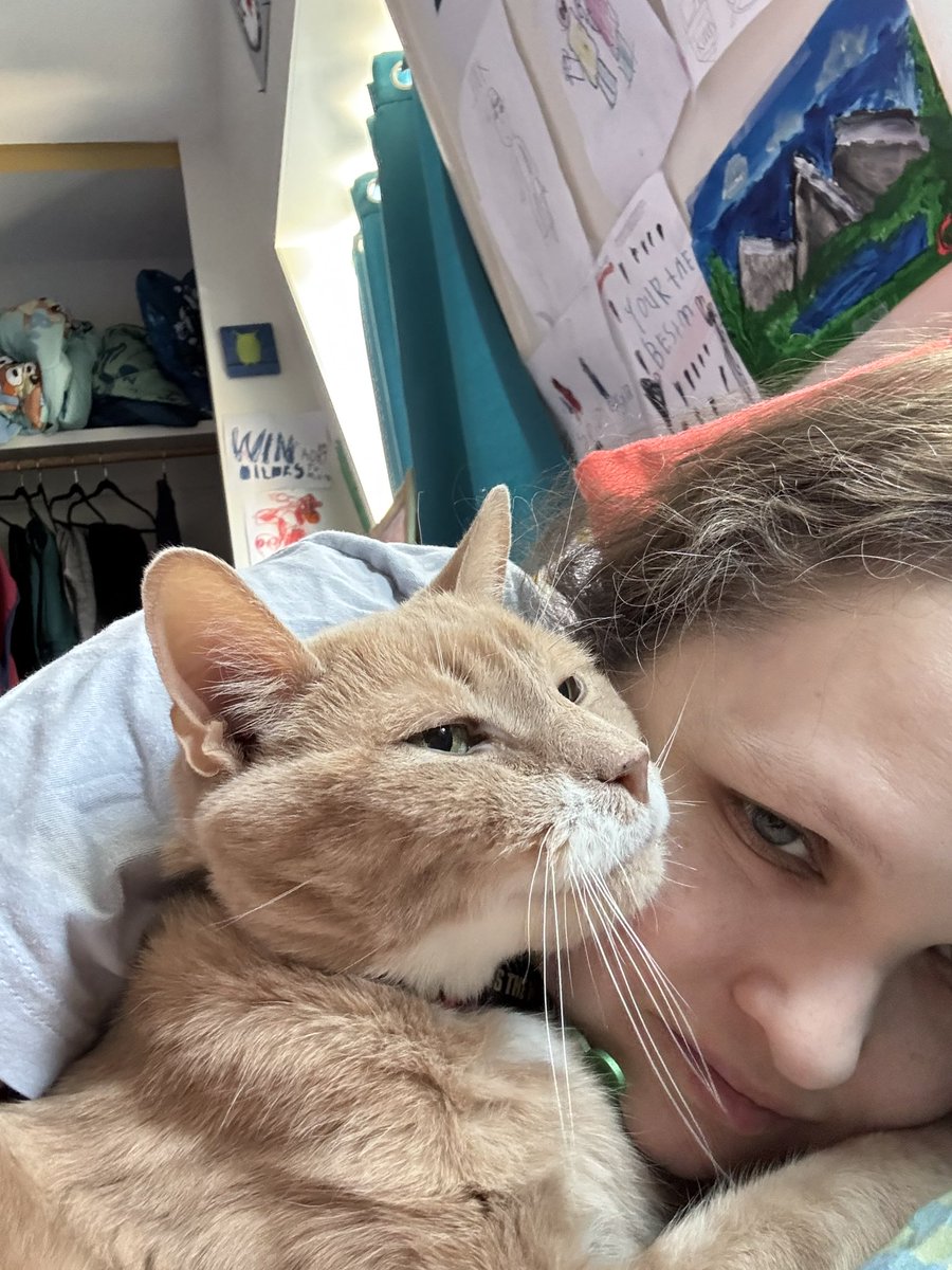 Amanda Ginn 💙🧡💙💚 tweet media