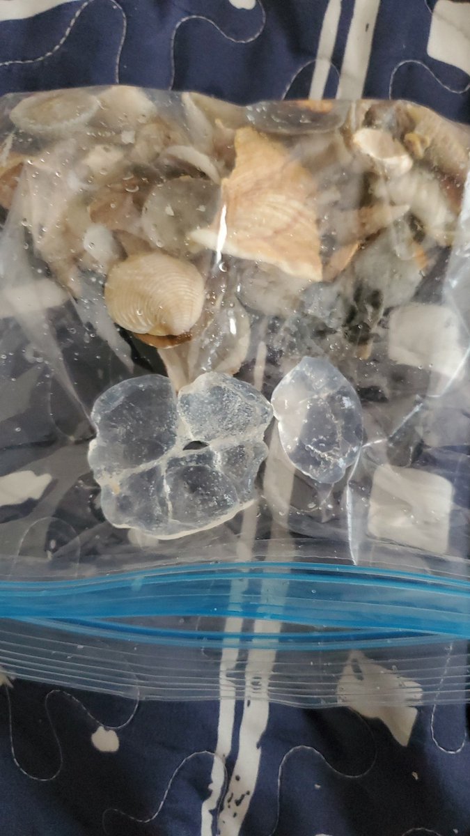 Skully🌊 ᛑᛗᛛ tweet media