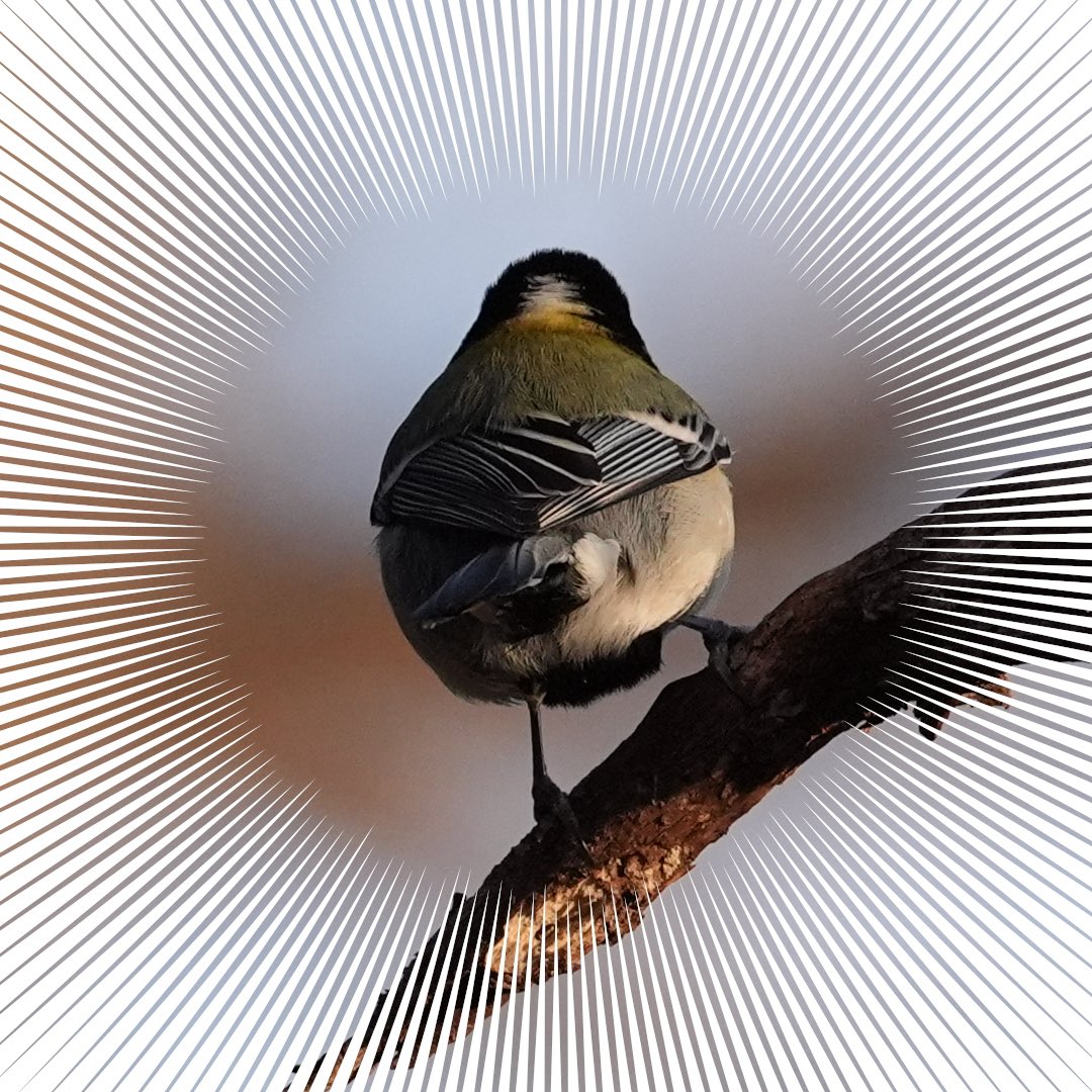 ぽかり tweet media