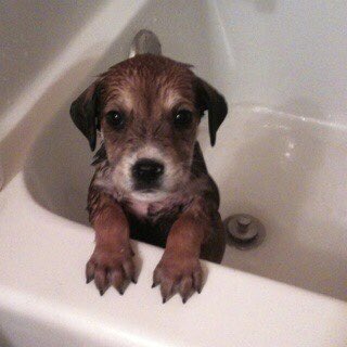 Sogged once more,,,,