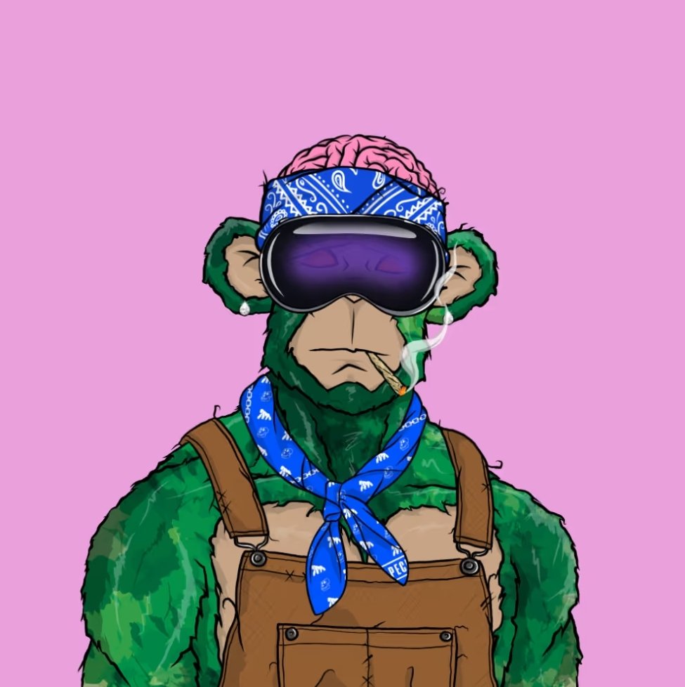 Jovan Lukic 🟡$DROPEE tweet media