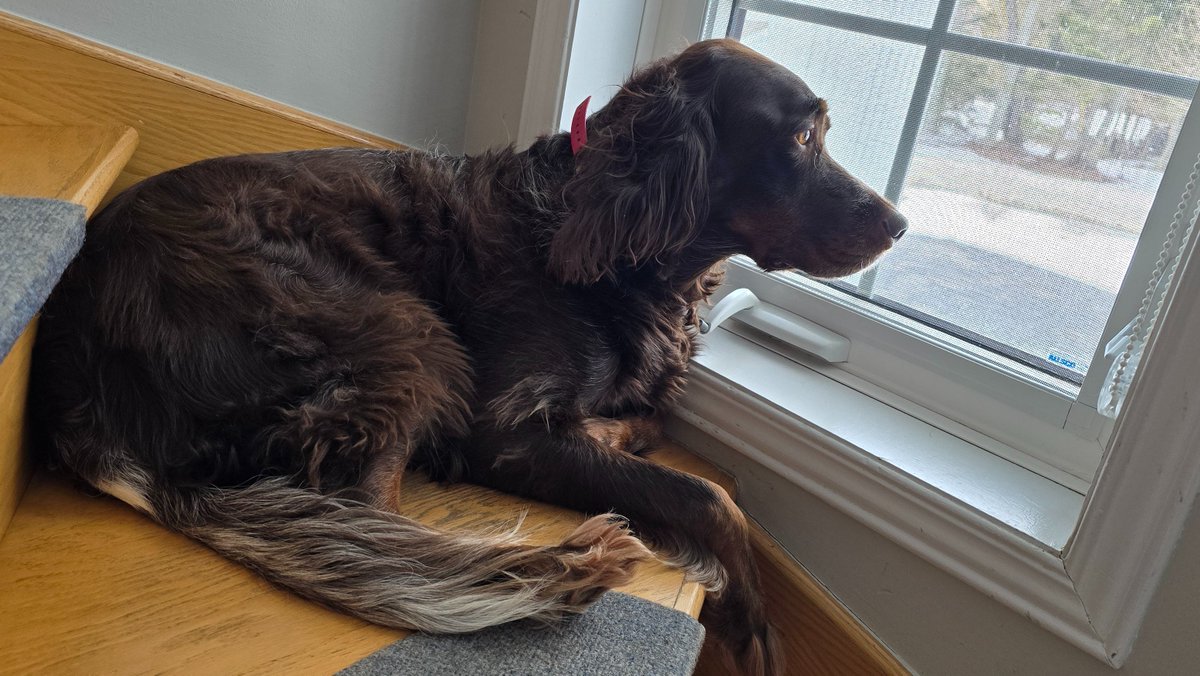 André Léger tweet media