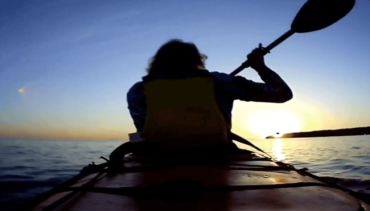 Brian Dodd tweet media