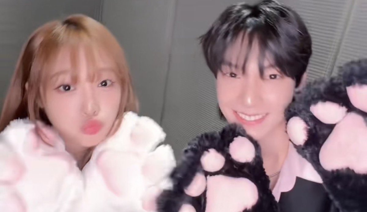 the idea of getting killed by two cuties with cats paws gloves