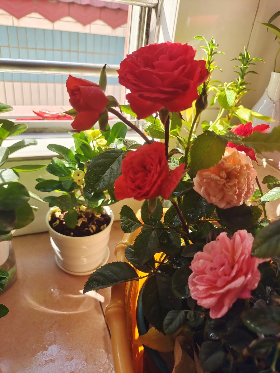 Prang Simaporn tweet media