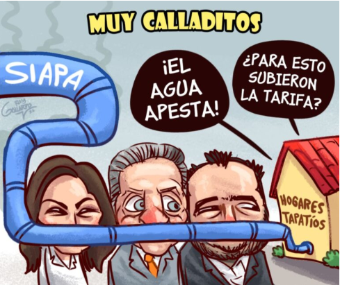 Conciencia Pública tweet media