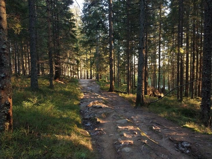 𓍊˖ ࣪⊹ tweet media