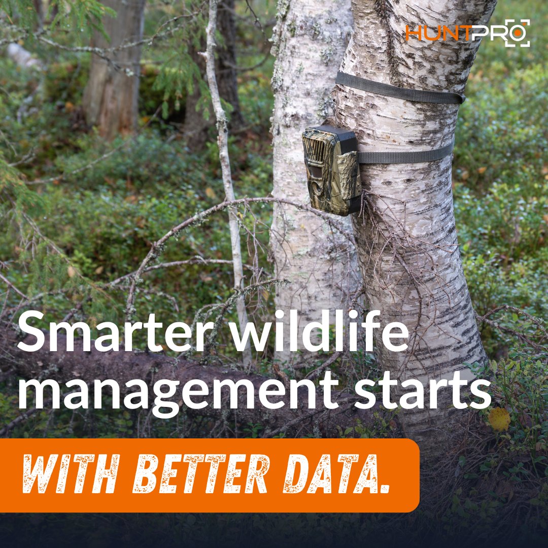 HuntProAI tweet media